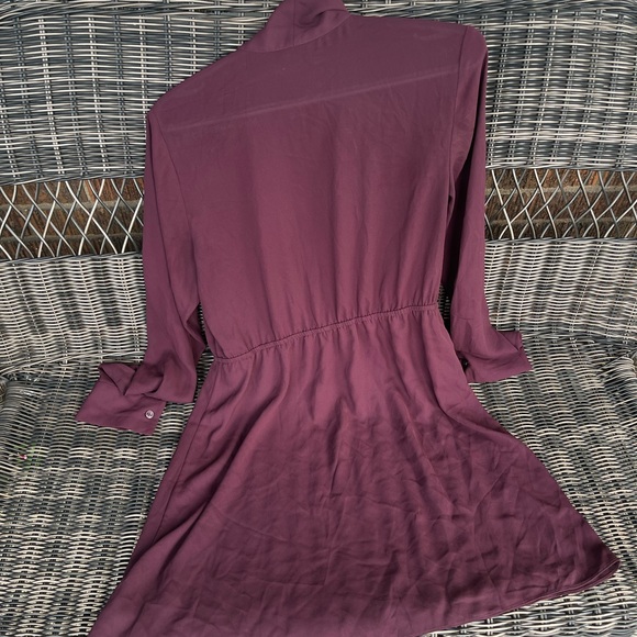 Sunday Best/Aritzia Veronica Long Sleeve Dress - Picture 5 of 8